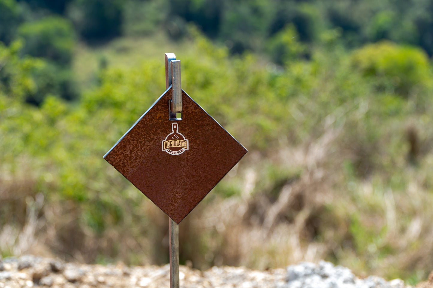 6 Inch Diamond Gong Centrefire AR500 12mm